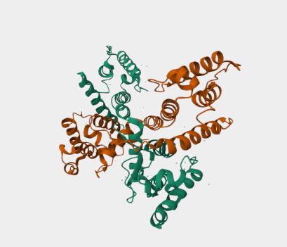 Anti-Dystrophin mAbs