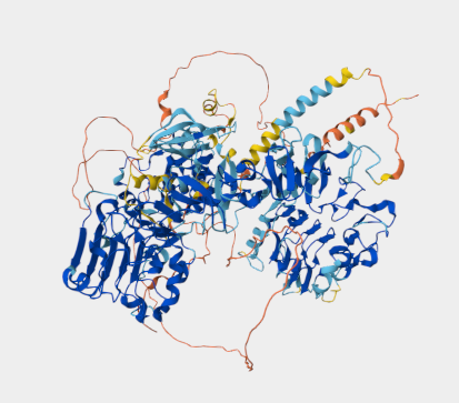 Anti-EGFR mAbs