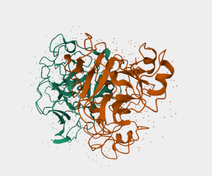 Anti-EHMT1 mAbs