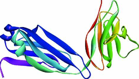 Anti-Envelope protein   (solub
