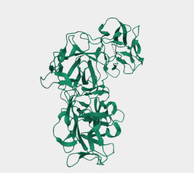 Anti-Fascin mAbs