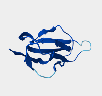 Anti-Fc gamma receptor   III m