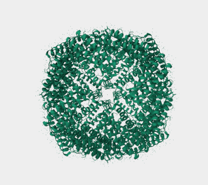 Anti-Ferritin mAbs