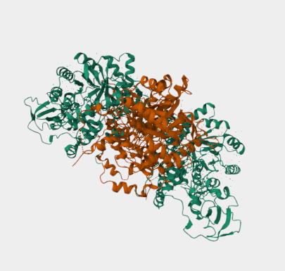 Anti-Flavocytochrome B2 mAbs