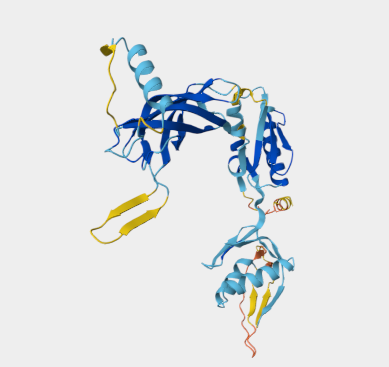 Anti-FlgI mAbs