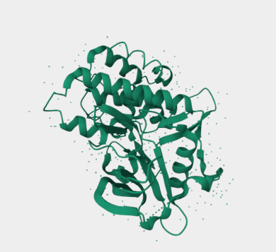 Anti-FLT3 mAbs