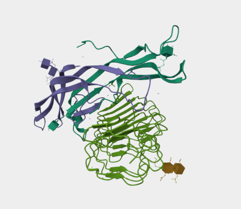 Anti-FSH receptor mAbs
