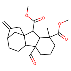 Anti-GA24/19 mAbs