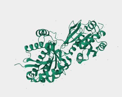 Anti-GABA(B)R2 mAbs