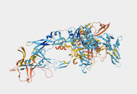 Anti-Gal/GalNAc Lectin from E.