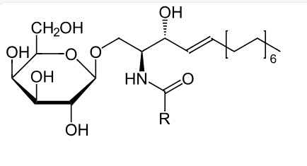 dot-blot, ICC, ELISA, FC, IF, 