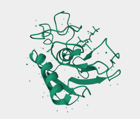 Anti-gelatinase B mAbs