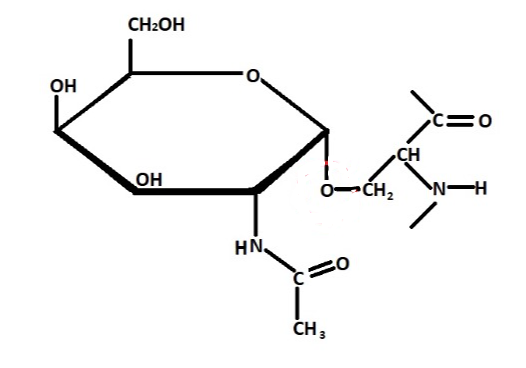 Anti-glycoprotein mAbs