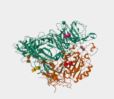 Anti-Glycoprotein GPIIb/IIIa c