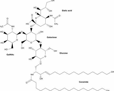 Anti-GM2 ganglioside mAbs
