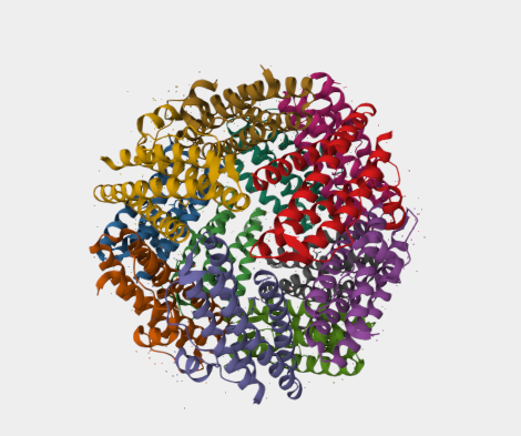 Anti-Helicobacter bacillus protein mAbs