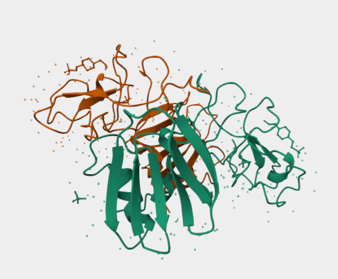 Anti-Hepatocyte growth factor 