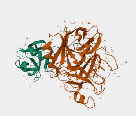 Anti-hepsin mAbs