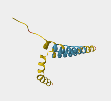 Anti-HIG1 mAbs