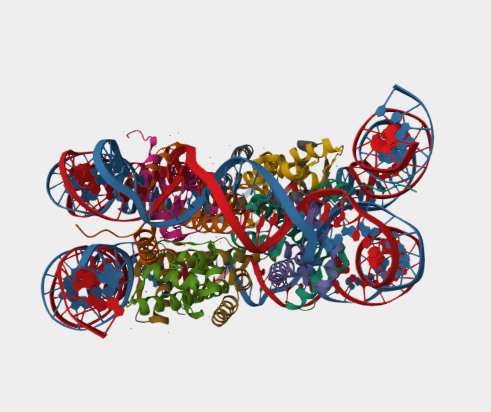 Anti-Histone H2B mAbs