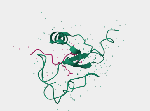 Anti-Histone H3 mAbs