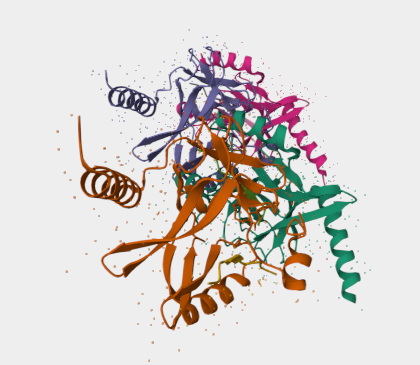 Anti-Histone H4 mAbs