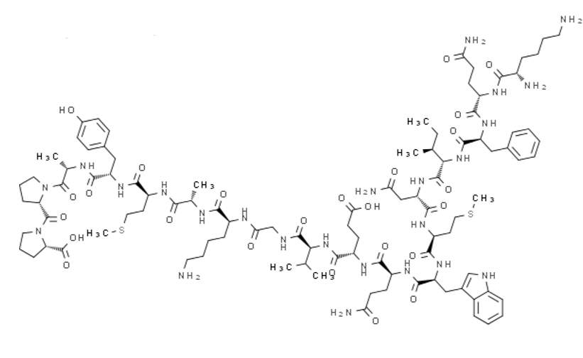 Anti-HIV p24 antibody; HIV gp1