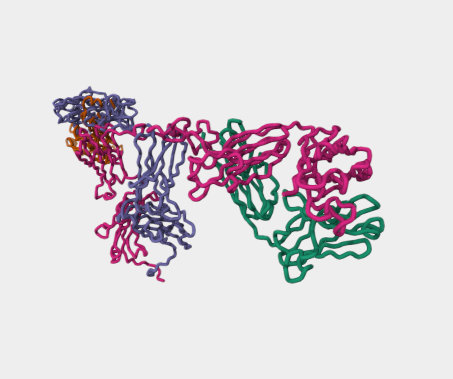 Anti-IgD mAbs