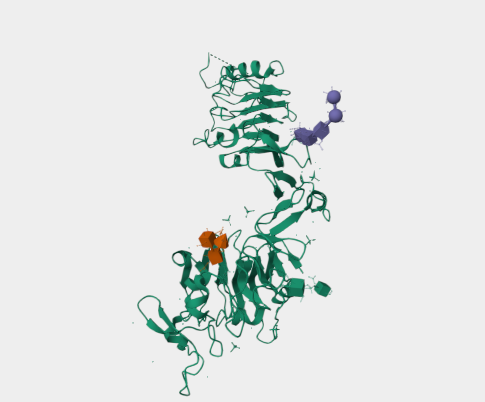 Anti-IGF1R mAbs