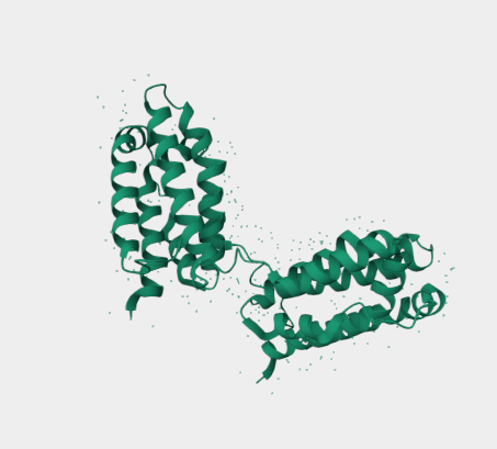 Anti-IL-10 mAbs