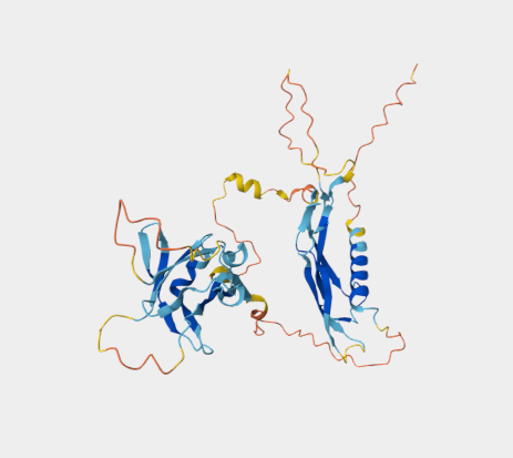 Anti-INHibin-α mAbs