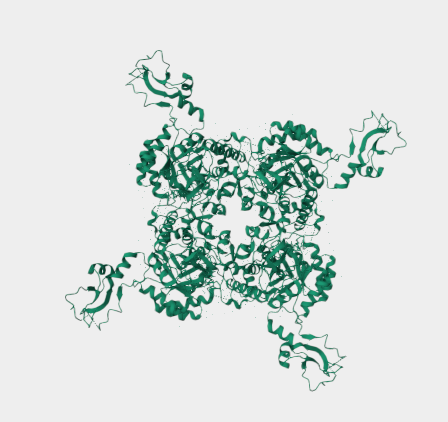 Anti-Inosine5'-monophosphate D