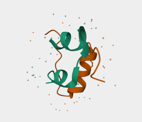Anti-Insulin mAbs