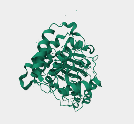 Anti-KDM2A mAbs