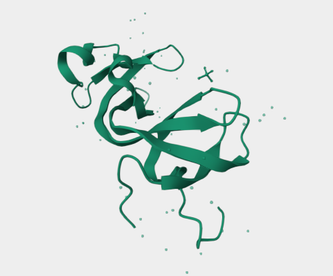 Anti-KDM4A mAbs