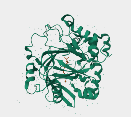 Anti-KDM4B mAbs