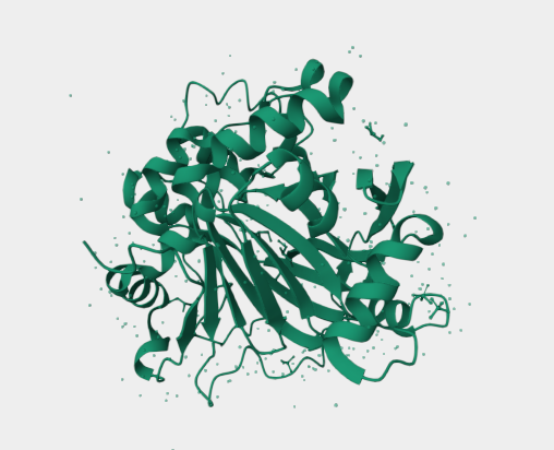 Anti-KDM4D mAbs