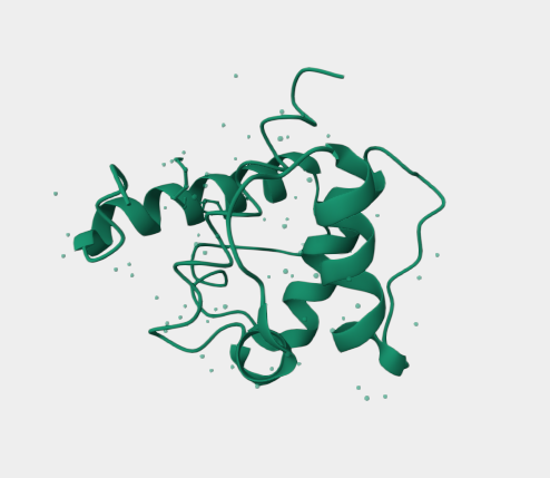 Anti-Kinetochore protein NDC80 homolog mAbs