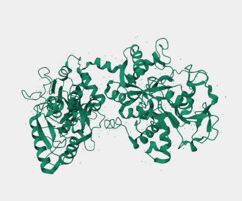 Anti-Lactoferrin mAbs