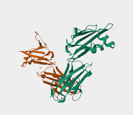 Anti-LAG-3 mAbs