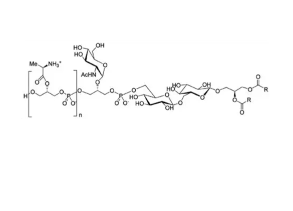 Anti-Lipoteichoic acid mAbs