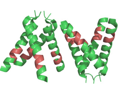 Anti-M2 mAbs