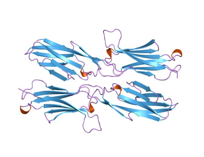 Anti-MAdCAM-1 mAbs