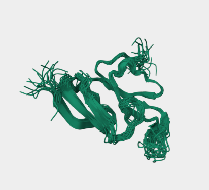 Anti-Major vault protein   mAb