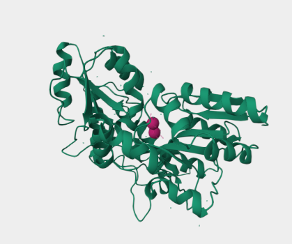 Anti-Maltose Binding   protein