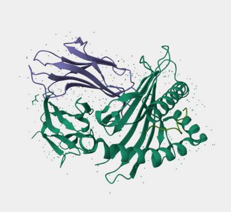 Anti-Melan-A mAbs