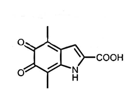 Anti-Melanin mAbs