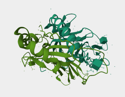 Anti-MHC class II mAbs