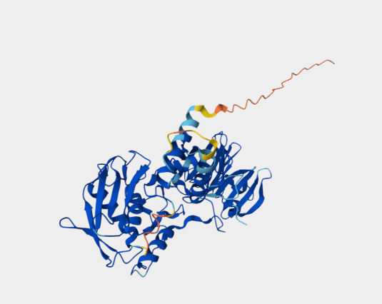 Anti-MMP8 mAbs