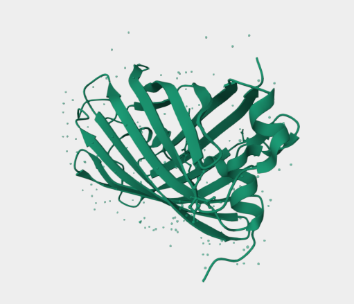 Anti-mNeonGreen mAbs
